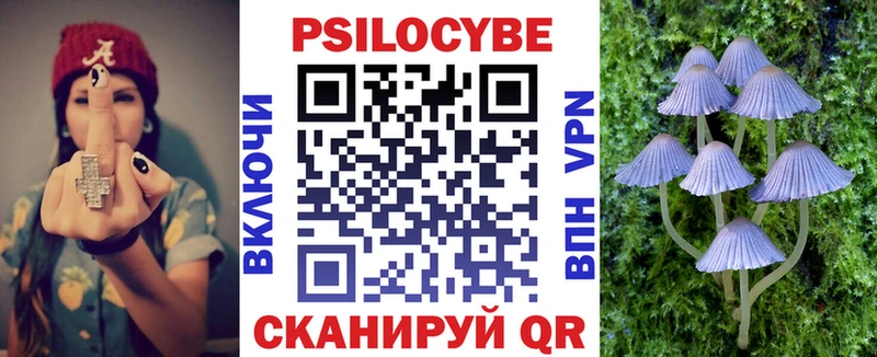 мега онион  Верея  Псилоцибиновые грибы прущие грибы  как найти закладки 